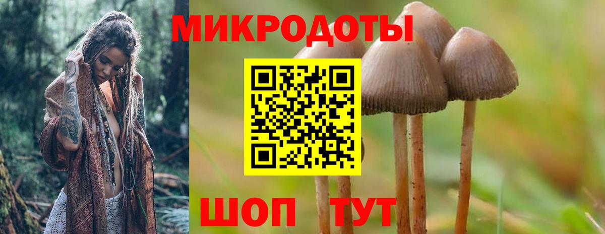 Псилоцибиновые грибы мицелий  Вход с VPN  купить наркоту  Салехард 